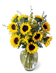 Endless Sunflower Bouquet from Lloyd's Florist, local florist in Louisville,KY